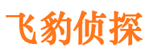 普陀区外遇出轨调查取证